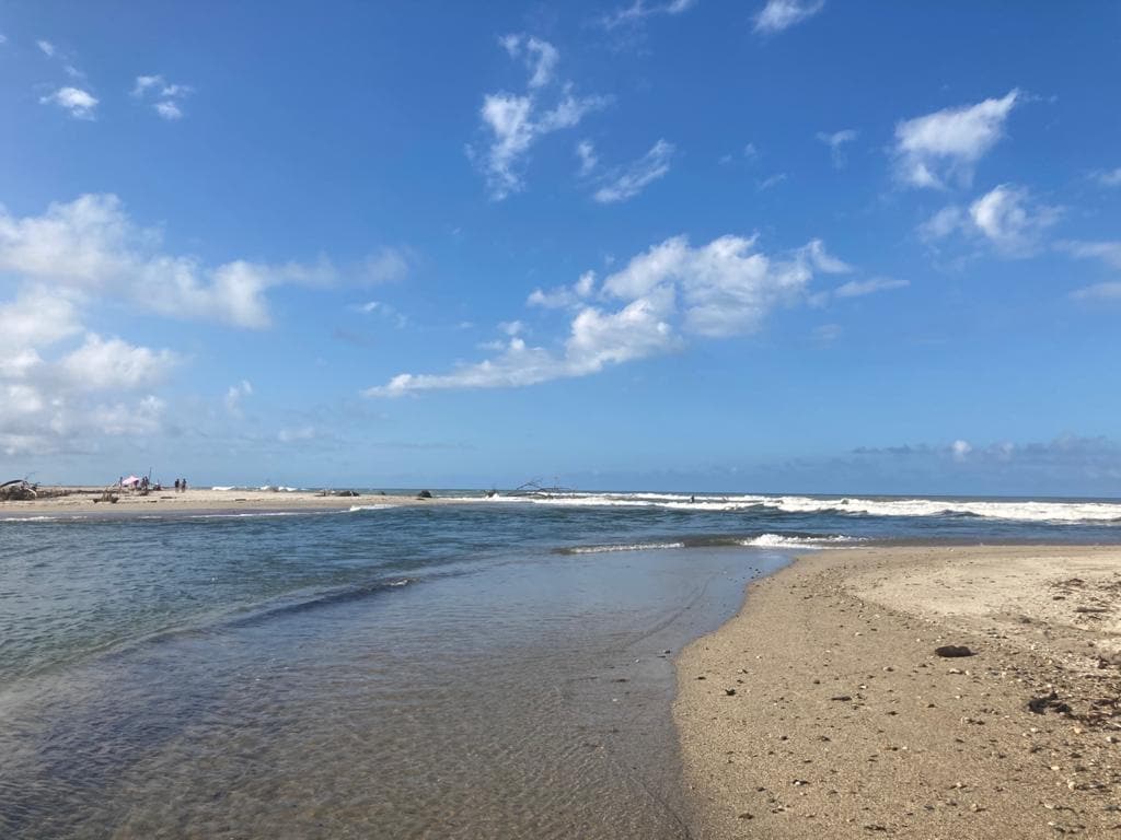 A serene beach scene features golden sand meeting clear blue waters. Gentle waves can be seen in the distance, while a calm river flows toward the ocean. A backdrop of fluffy white clouds and a bright sky creates a tranquil atmosphere.