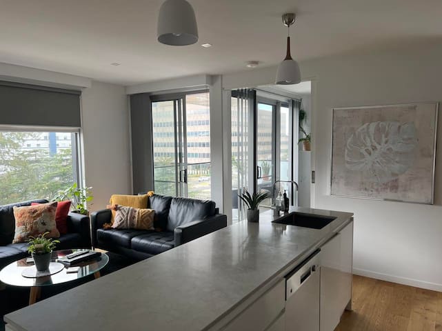 2 Bedroom 2 Bathroom- Across from Austin Hospital