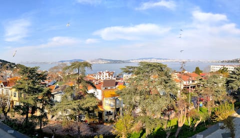 Heybeliada Taylan's House