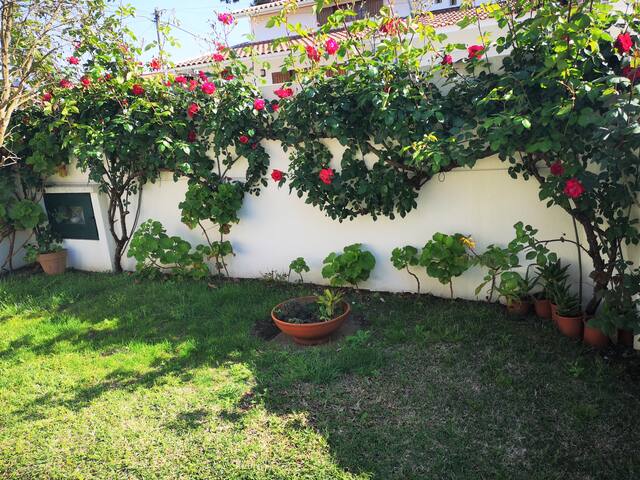 Vivenda em zona de praia gallery image 5