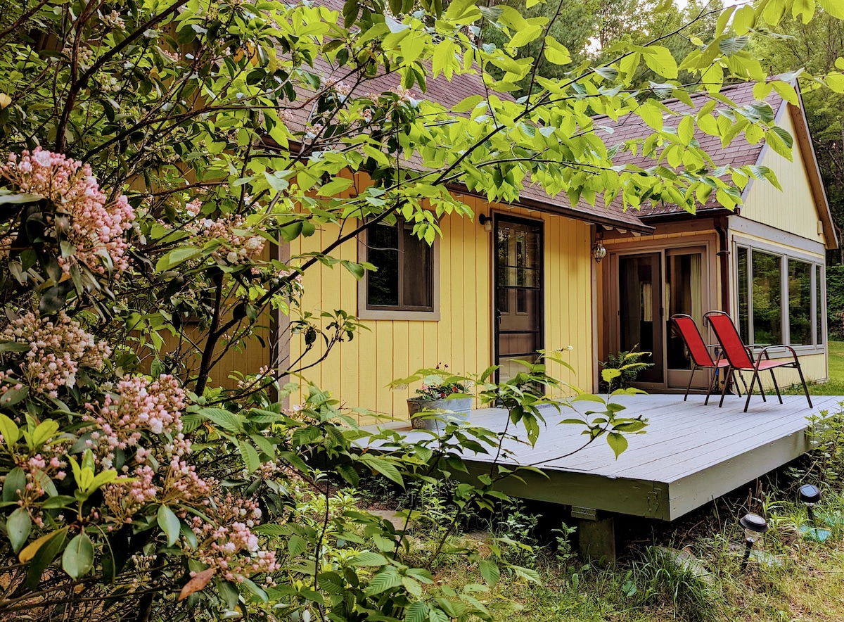 Country Haven Spacious Cabin on 10 Acres w Pond Cabins for Rent in