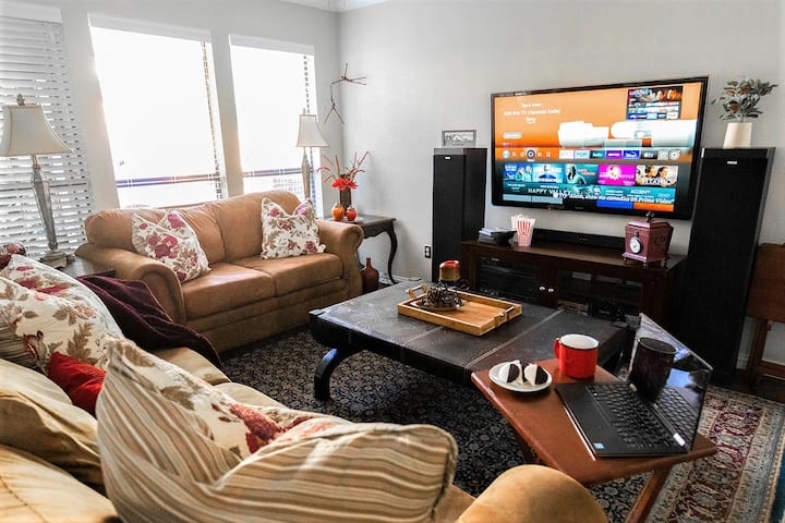 Den avec TV connectée 55pouces