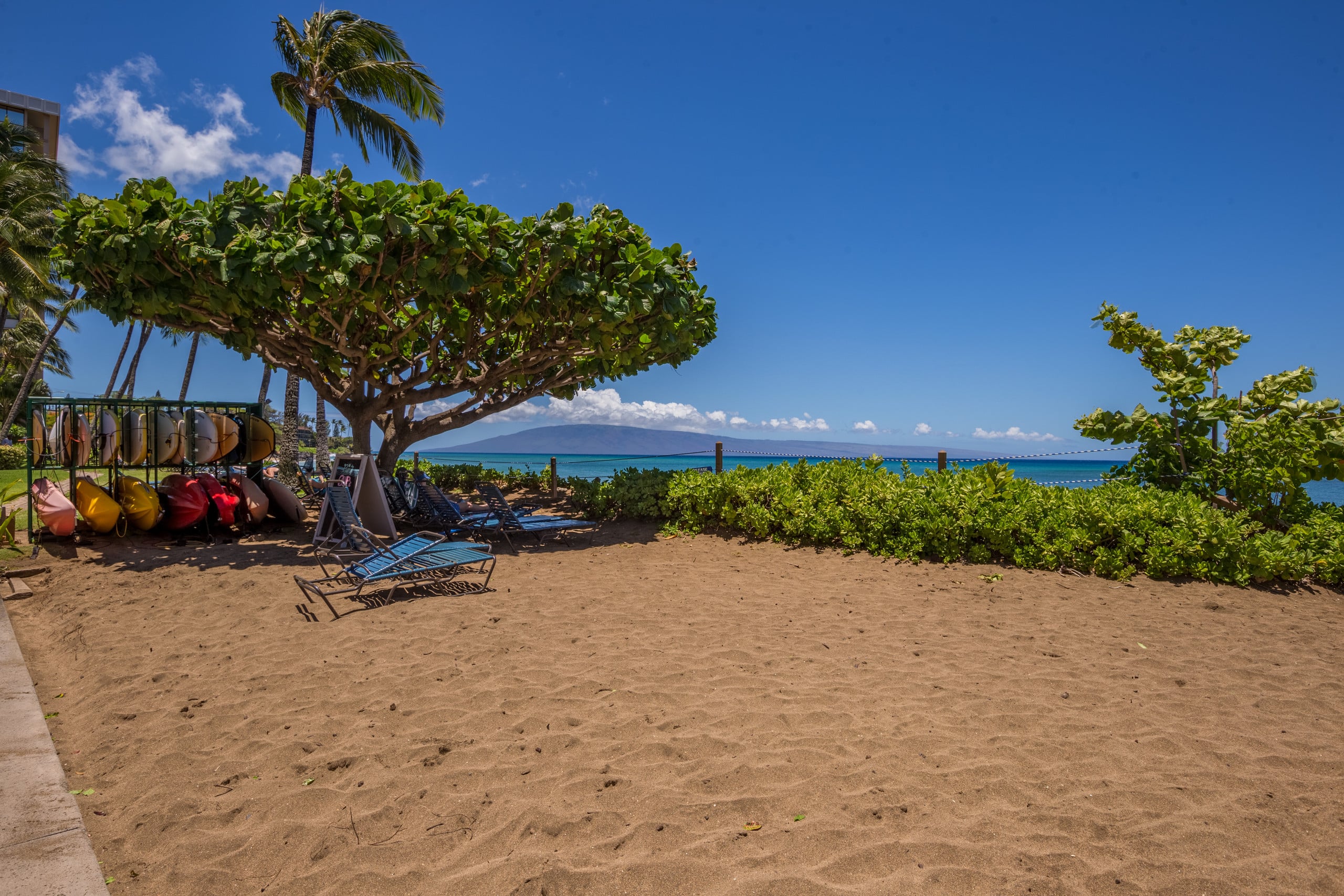Condo in Lahaina · ★4.94 · 2 bedrooms · 4 beds · 2 baths - Image 38
