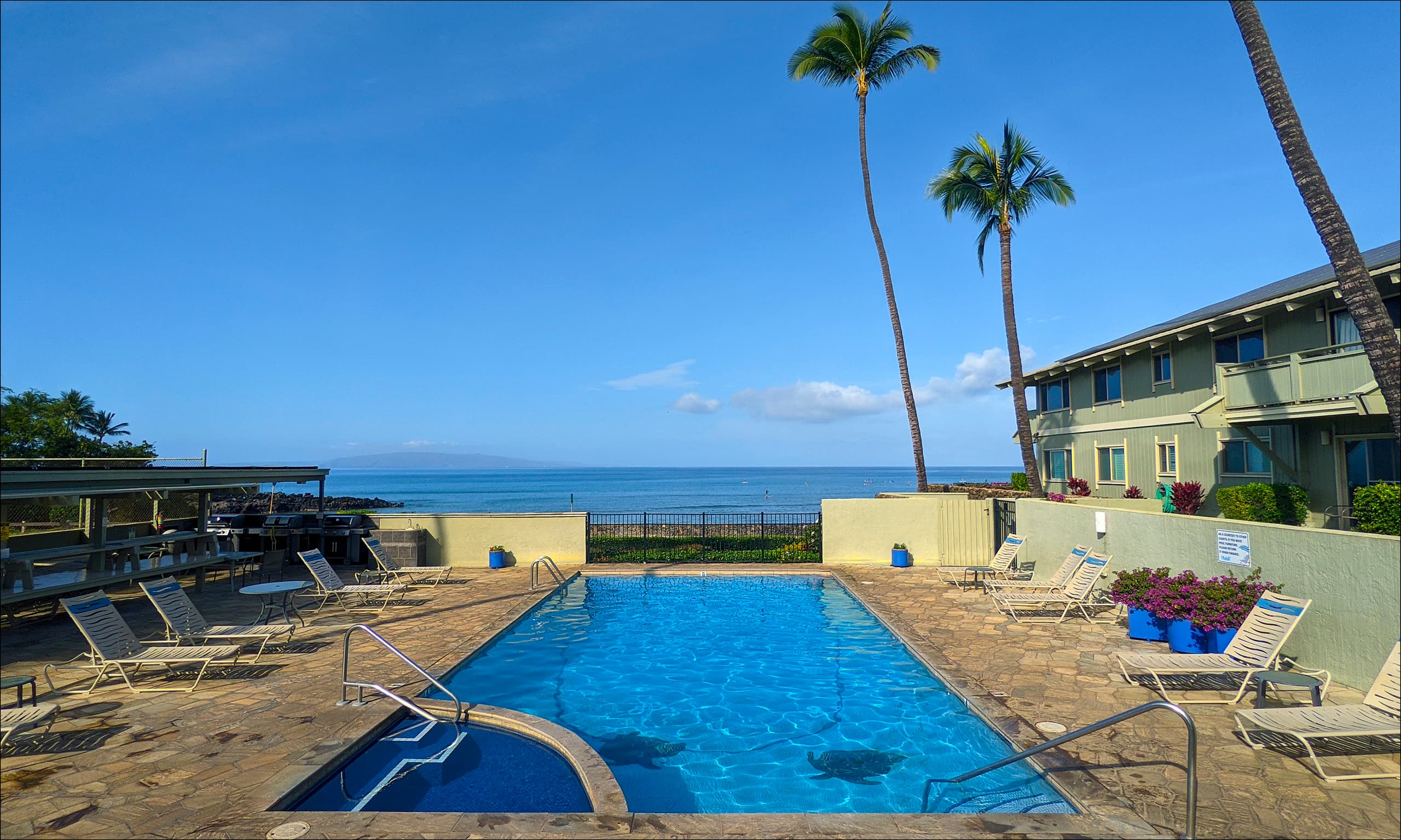 Condo in Kihei · ★4.95 · 1 bedroom · 2 beds · 1 bath - Image 1