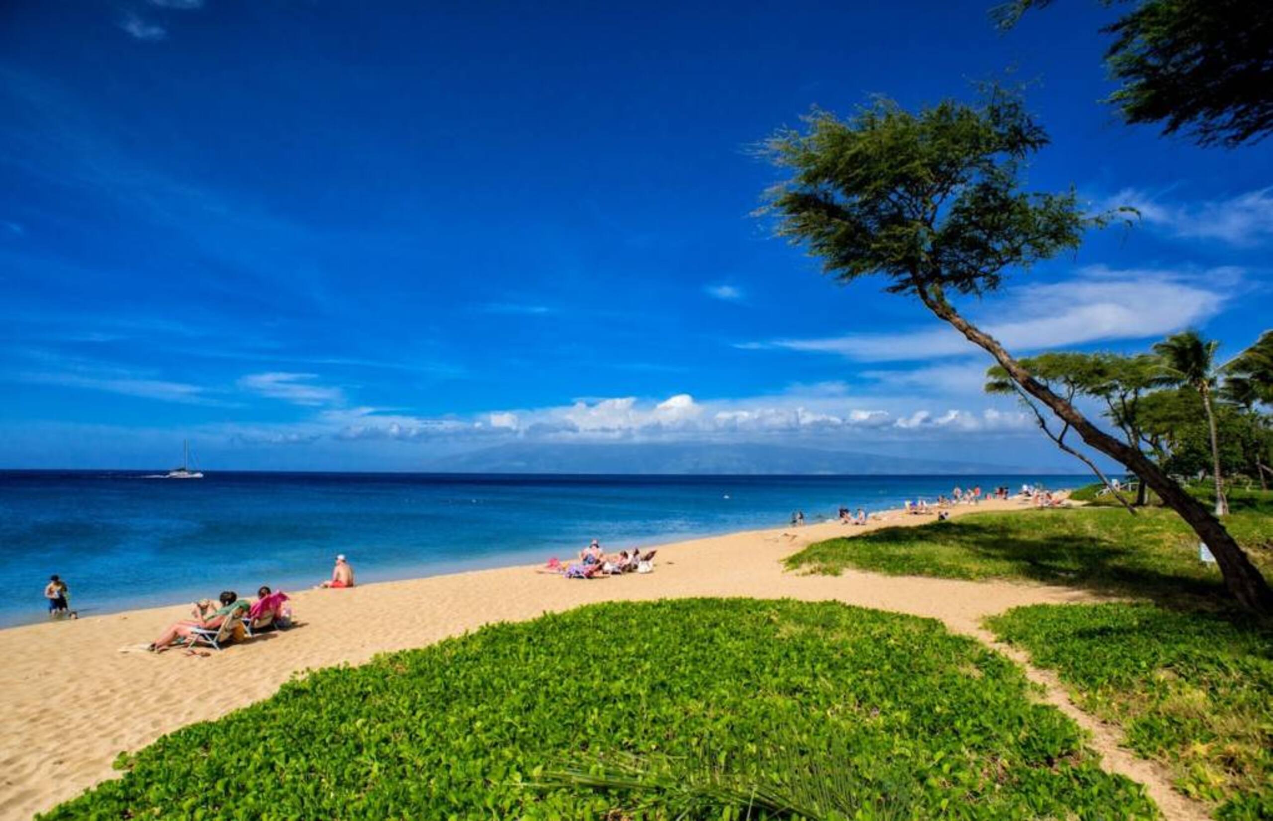 Condo in Lahaina · ★4.9 · 1 bedroom · 2 beds · 1 bath - Image 6