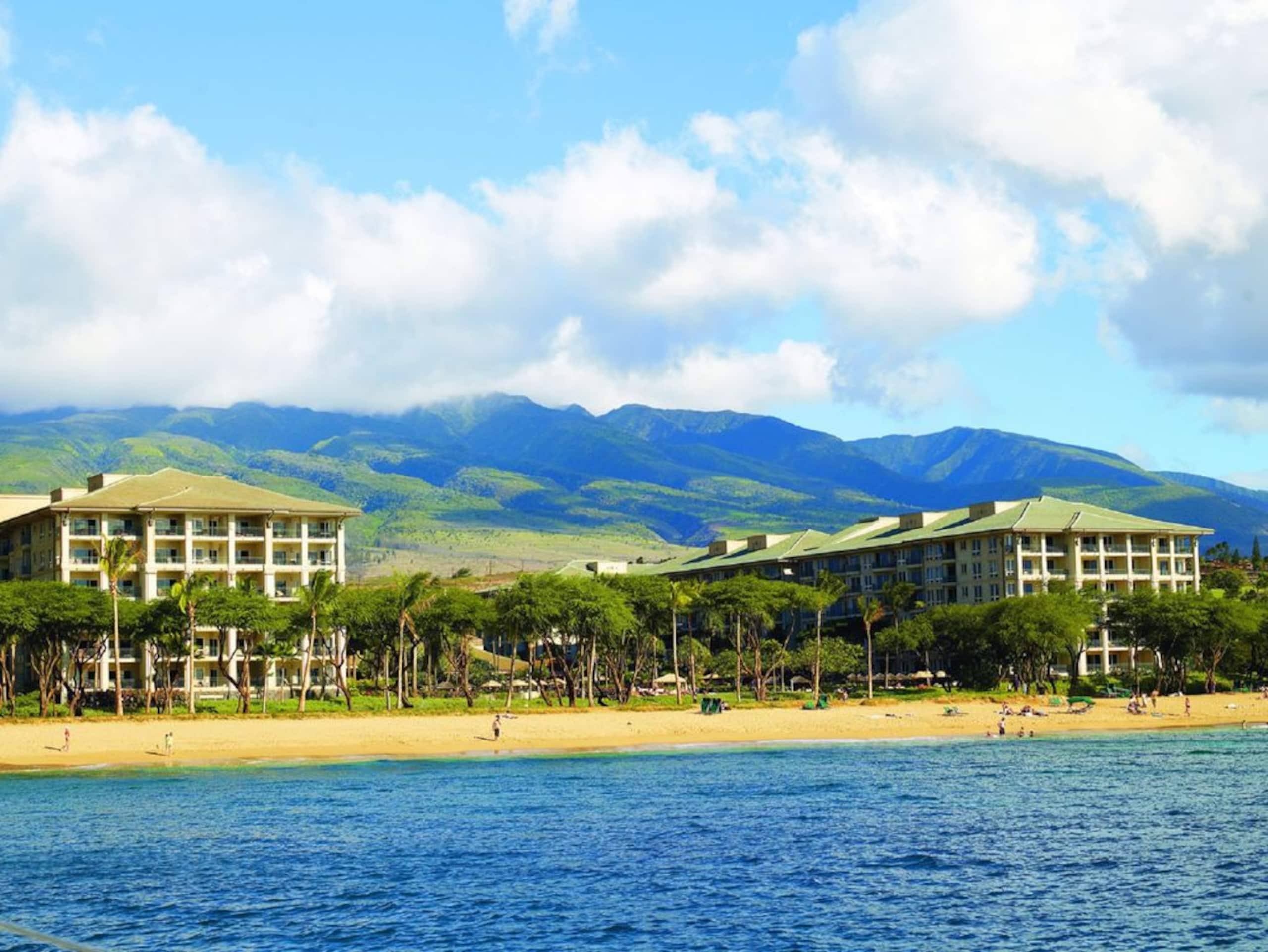 Condo in Lahaina · ★4.9 · 1 bedroom · 2 beds · 1 bath - Image 7