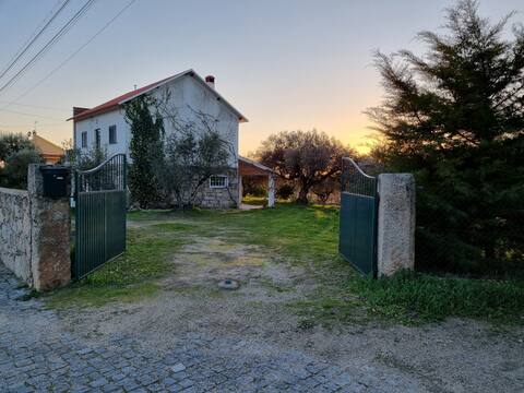 Raton's House 15