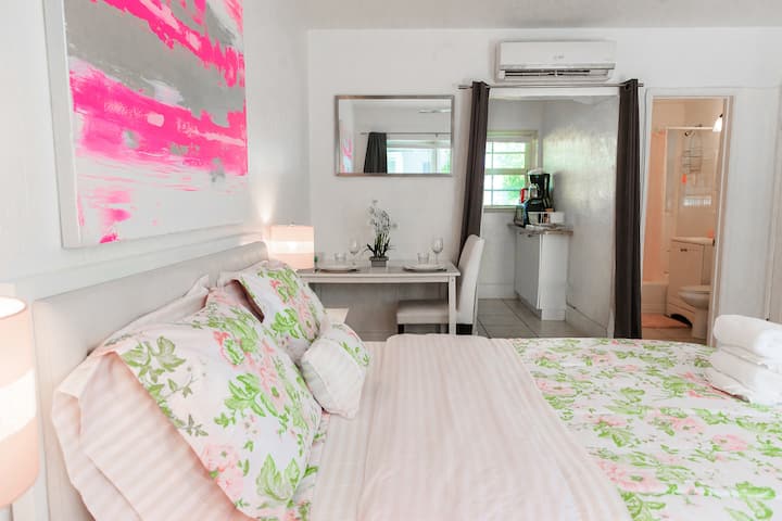 VELIKI STUDIO APARTMAN SA SVIM SADRŽAJIMA, nova klima-uređaj, potpuno opremljena kuhinja, kupaonica, TV, kabelska televizija i WI-FI