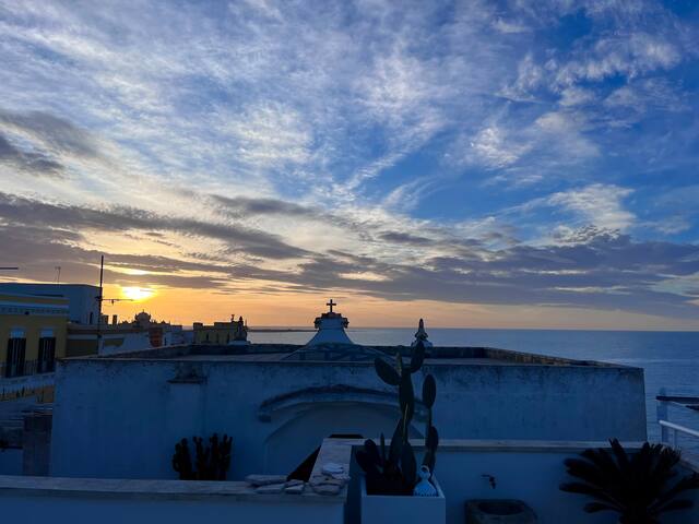 Casa Coco Stunning Rooftop Terrace On the Sea gallery image 5