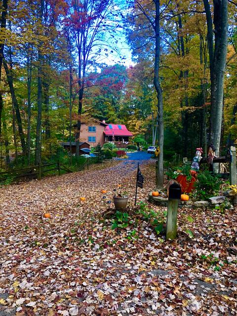 Little Moose Lodge