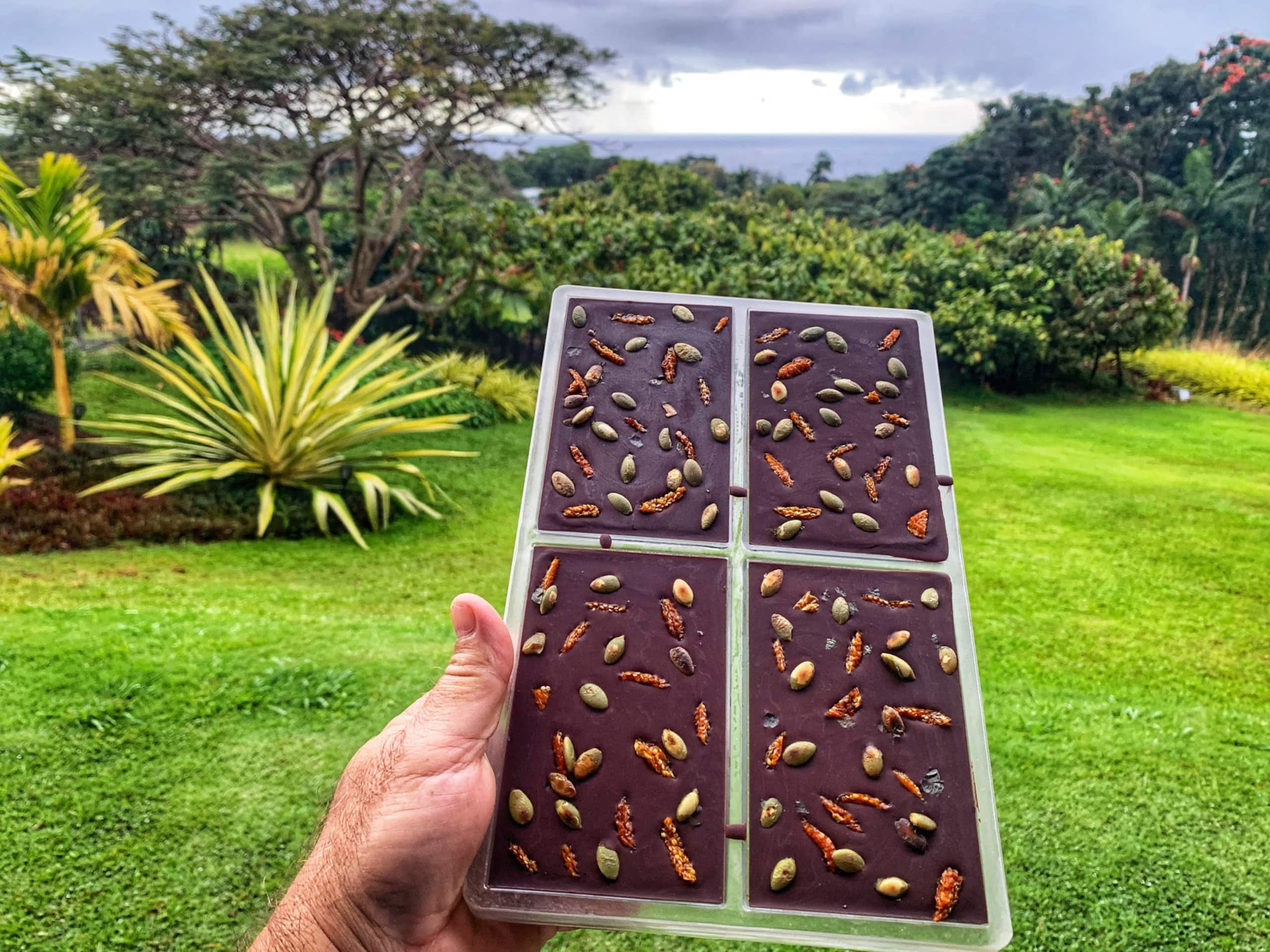 Cacao-Ocean Room at Hamakua Chocolate Farm - Image 32