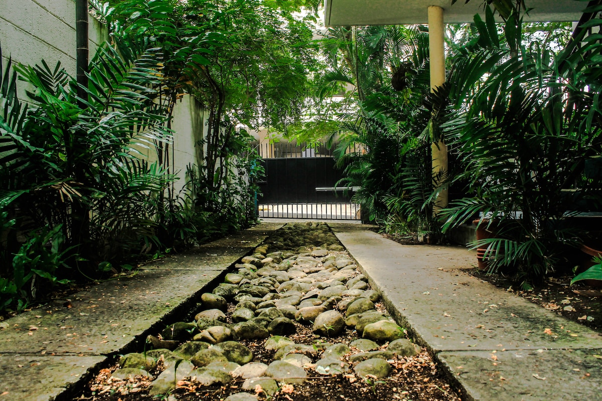 A tranquil pathway lined with smooth stones is flanked by lush greenery, leading to a gated area. The natural elements create a serene atmosphere, with ample foliage on either side enhancing the inviting entrance to the space.