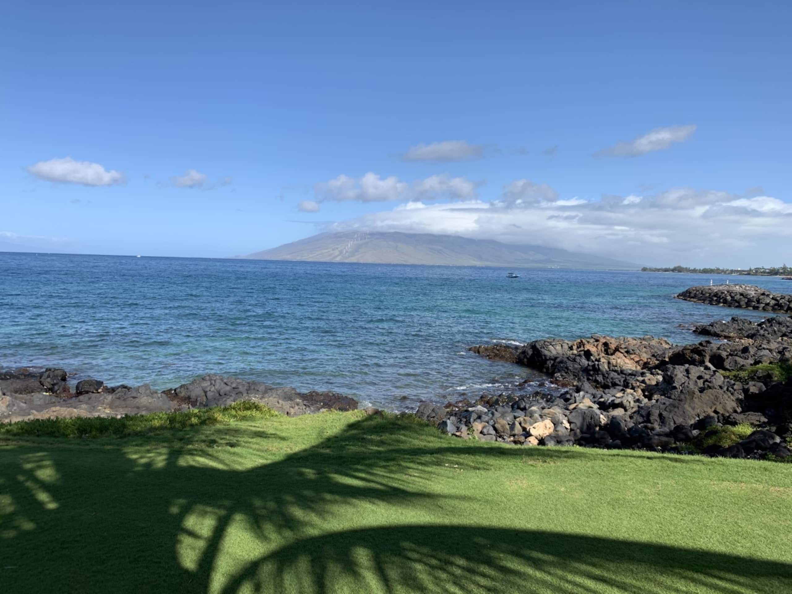 Condo in Kihei · ★4.82 · 2 bedrooms · 3 beds · 2 private baths - Image 39
