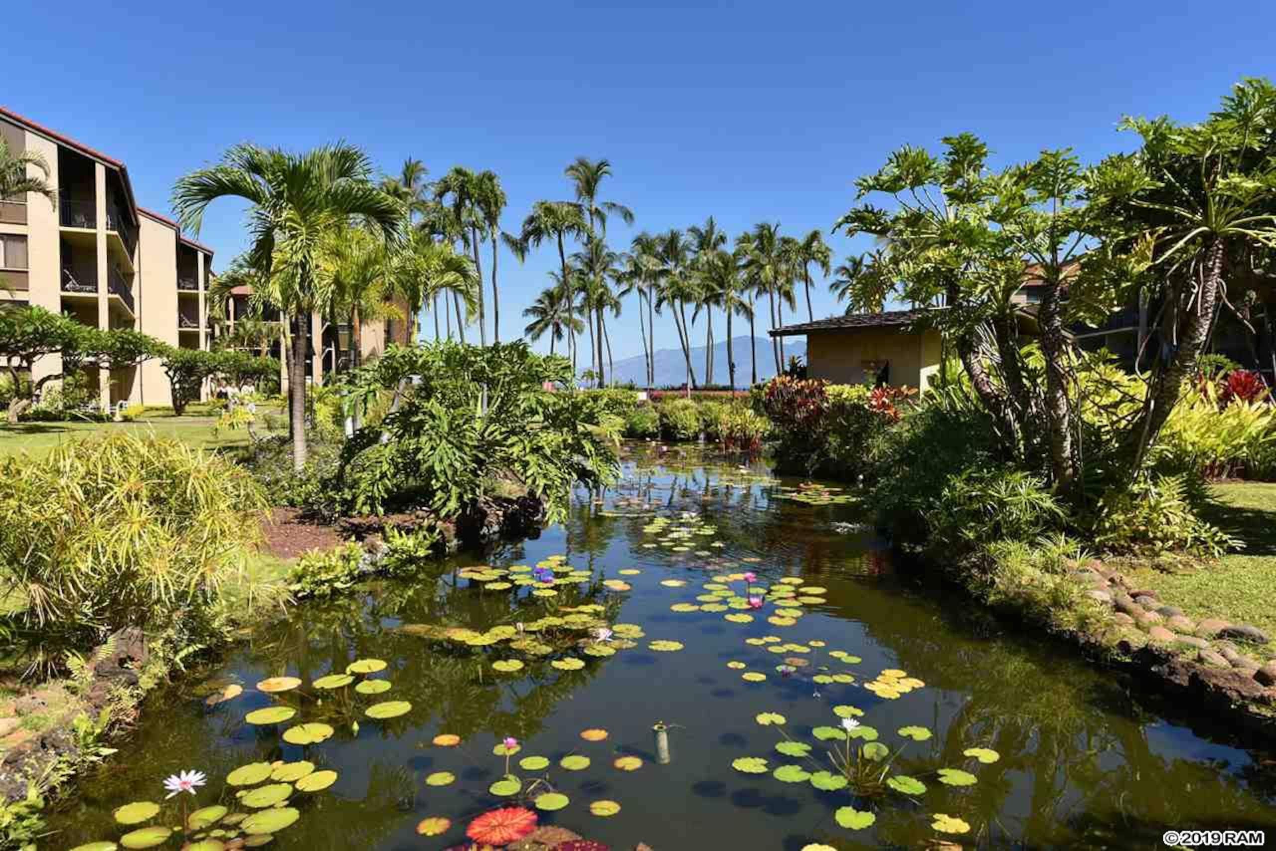 Condo in Lahaina · ★4.97 · 1 bedroom · 2 beds · 1 bath - Image 29