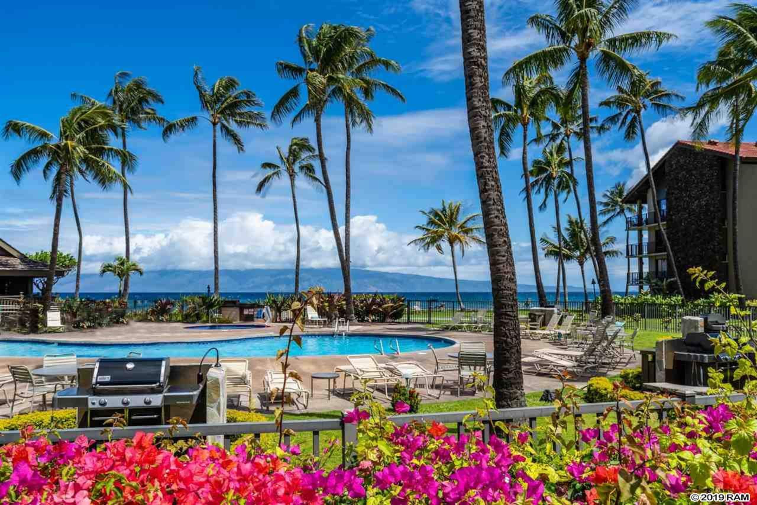 Condo in Lahaina · ★4.97 · 1 bedroom · 2 beds · 1 bath - Image 52
