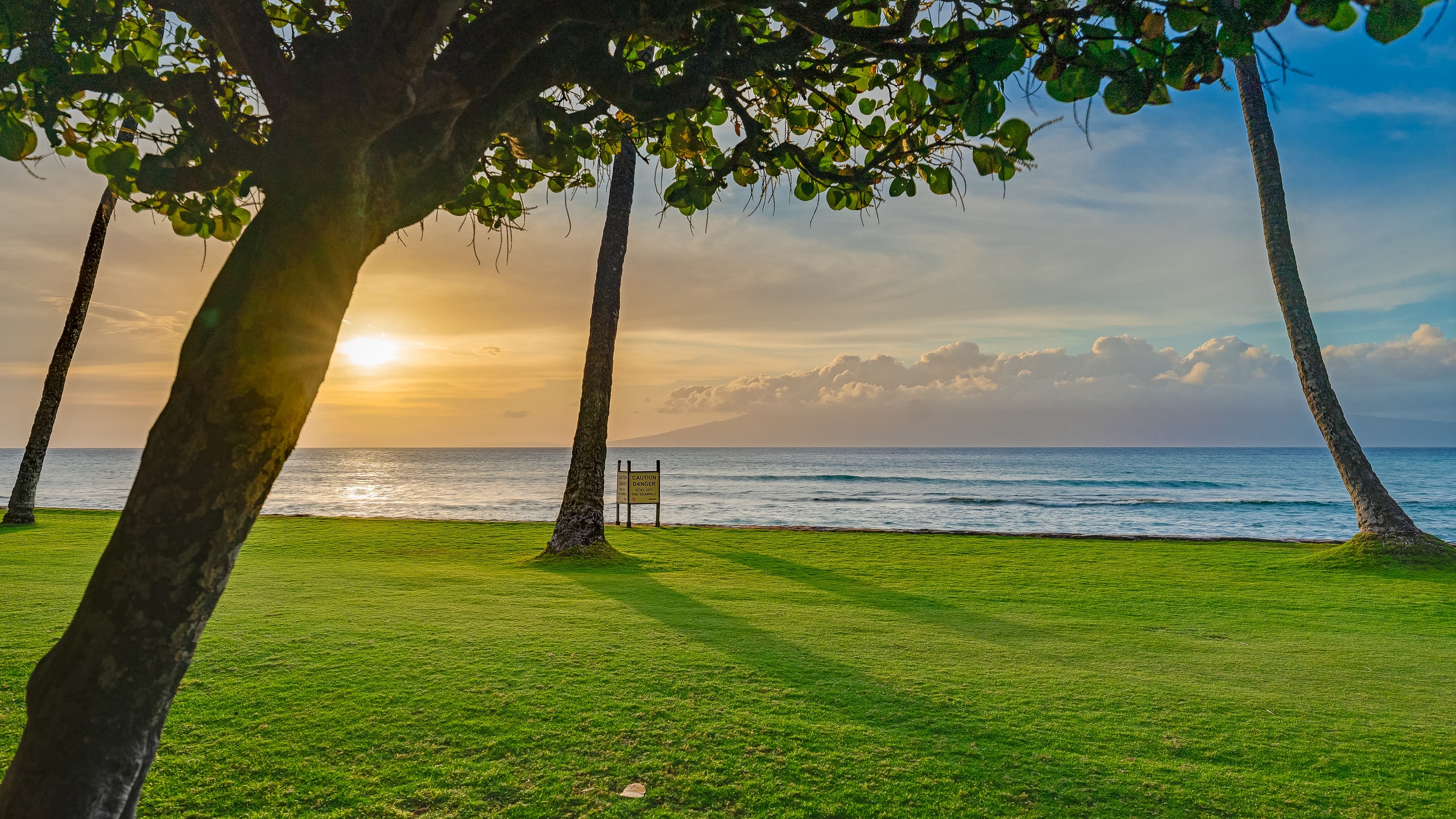 Condo in Lahaina · ★4.97 · 1 bedroom · 2 beds · 1 bath - Image 27