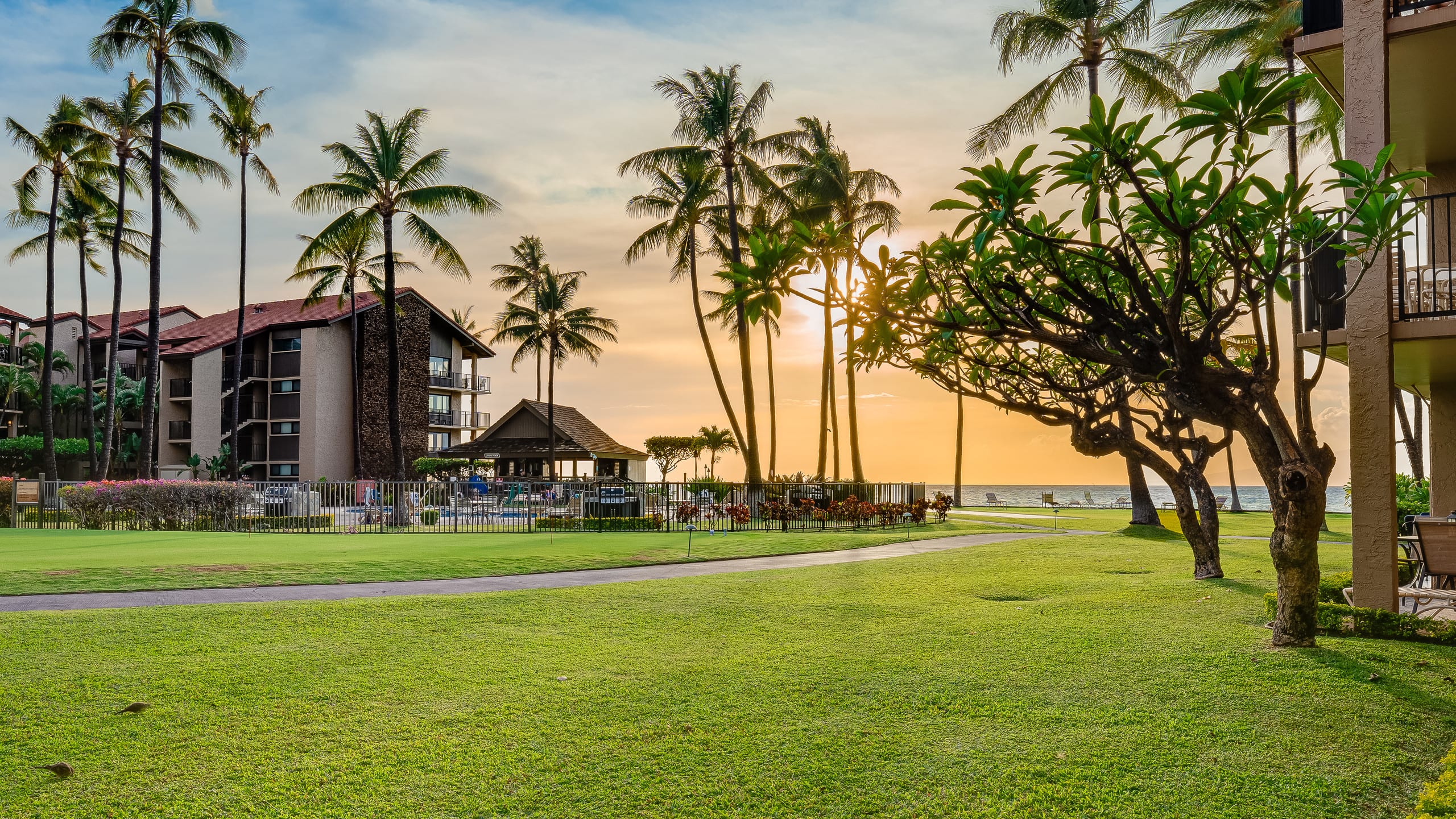 Condo in Lahaina · ★4.97 · 1 bedroom · 2 beds · 1 bath - Image 25