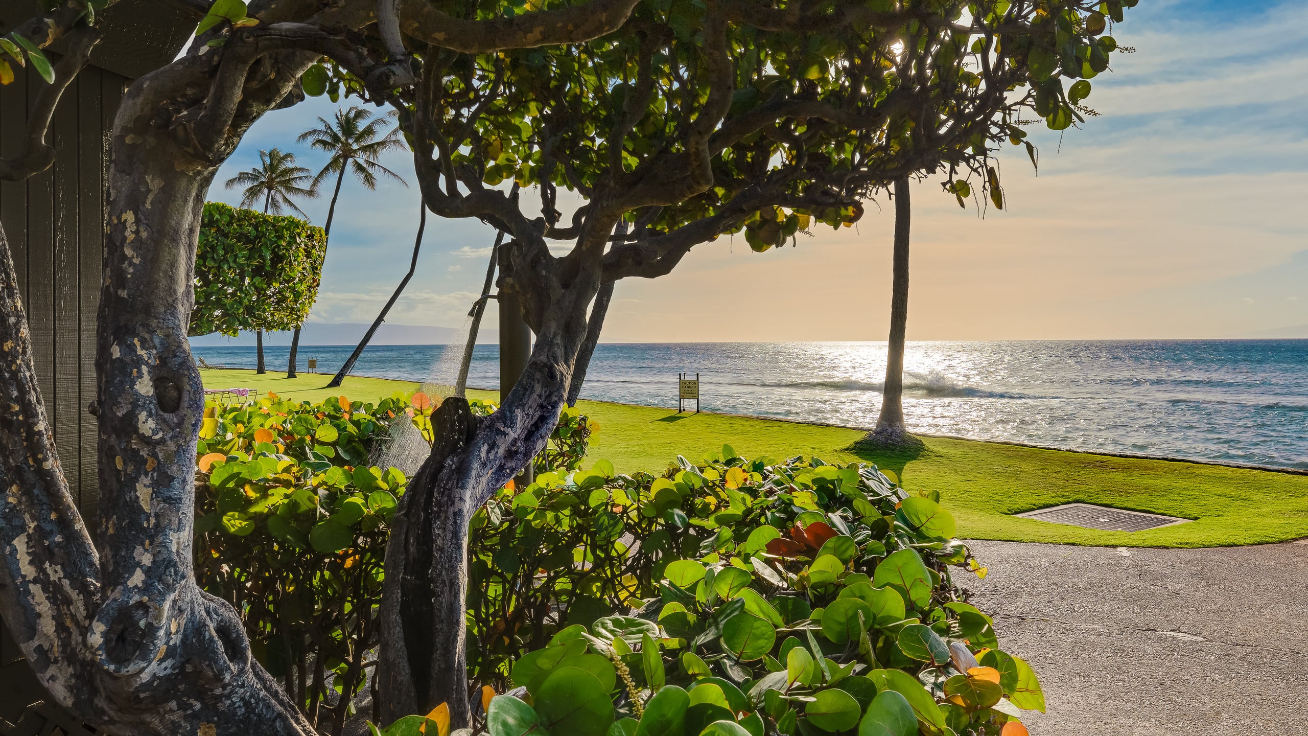 Condo in Lahaina · ★4.97 · 1 bedroom · 2 beds · 1 bath - Image 26
