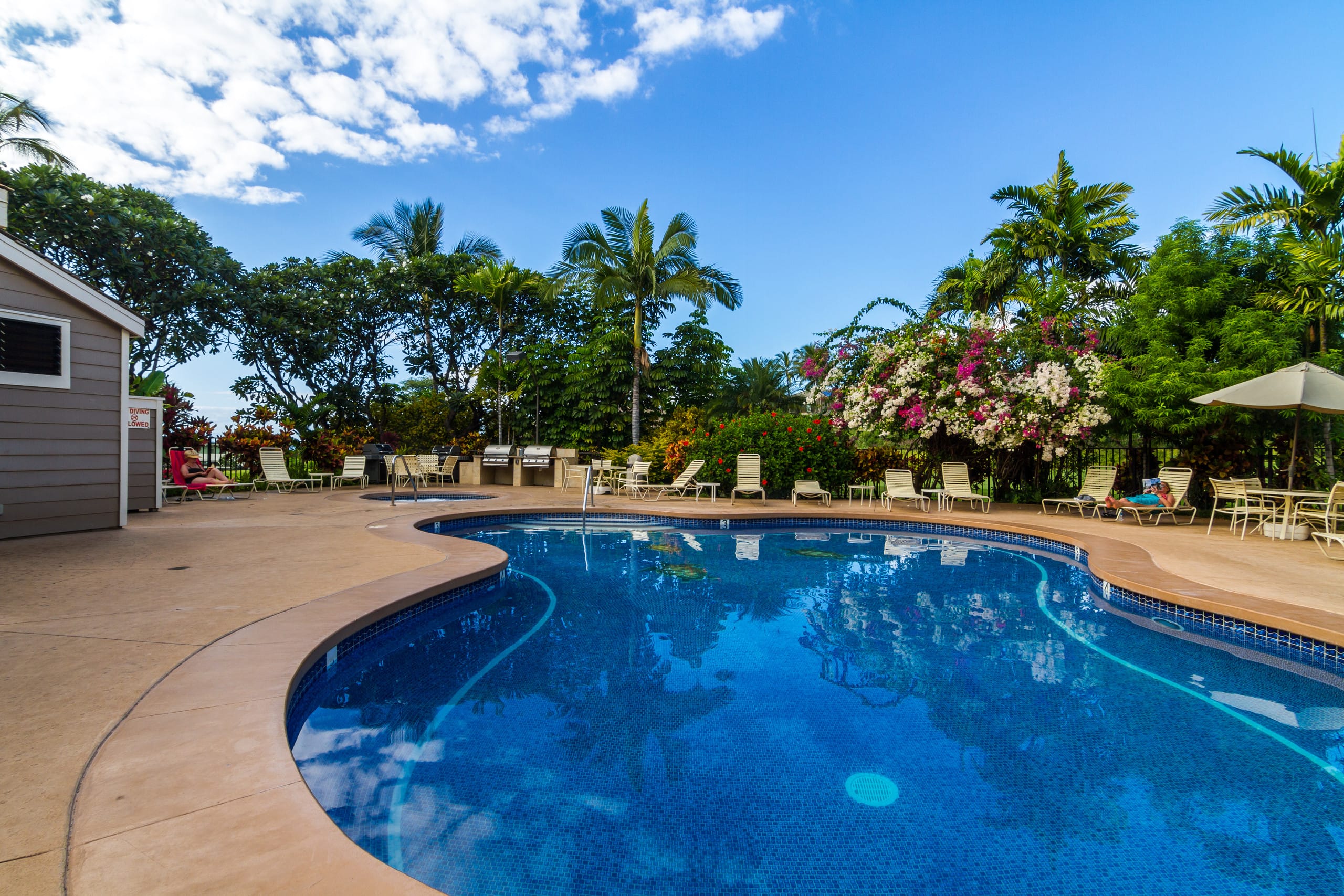 Condo in Wailea · ★4.98 · 1 bedroom · 2 beds · 2 baths - Image 38