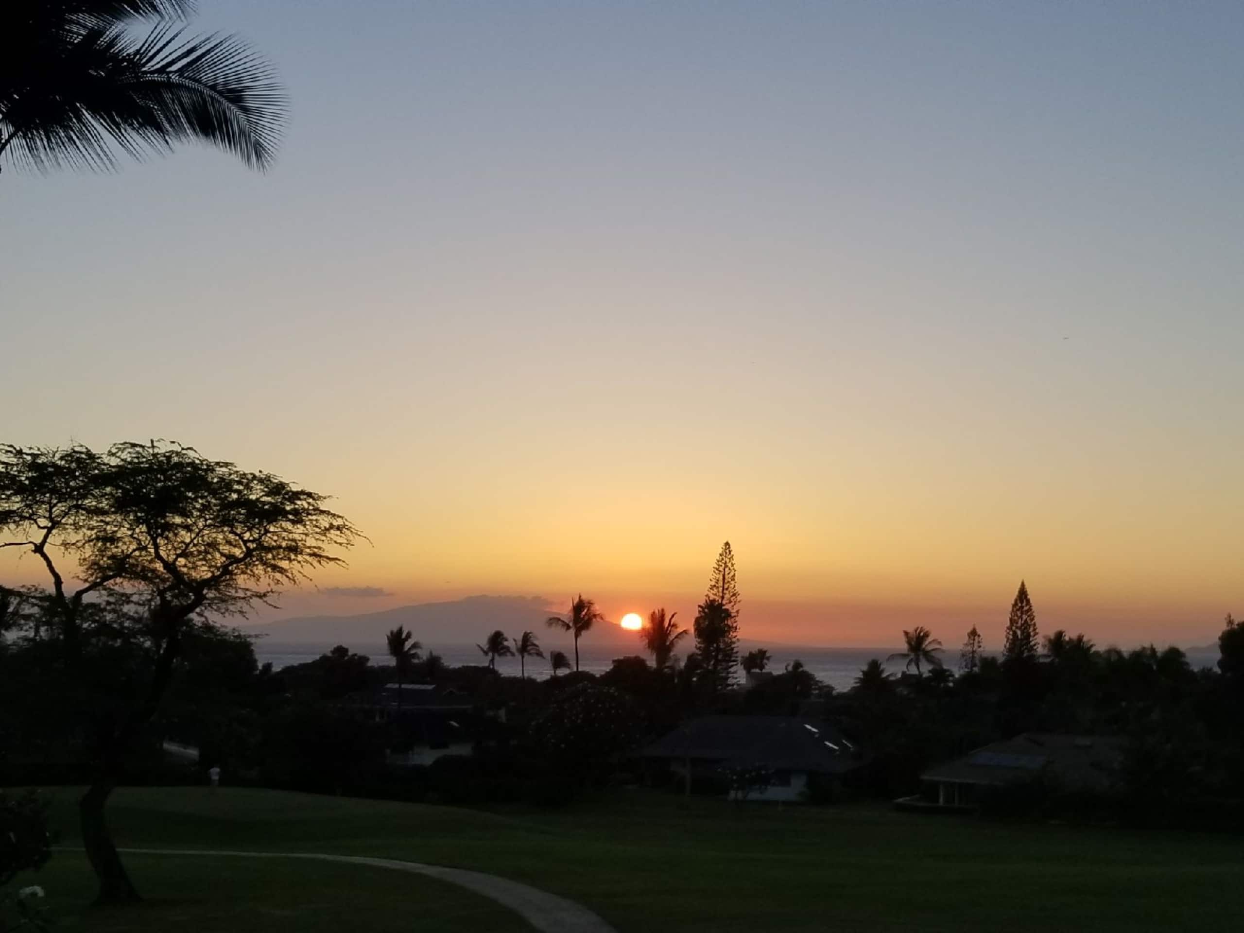 Condo in Wailea · ★4.98 · 1 bedroom · 2 beds · 2 baths - Image 29