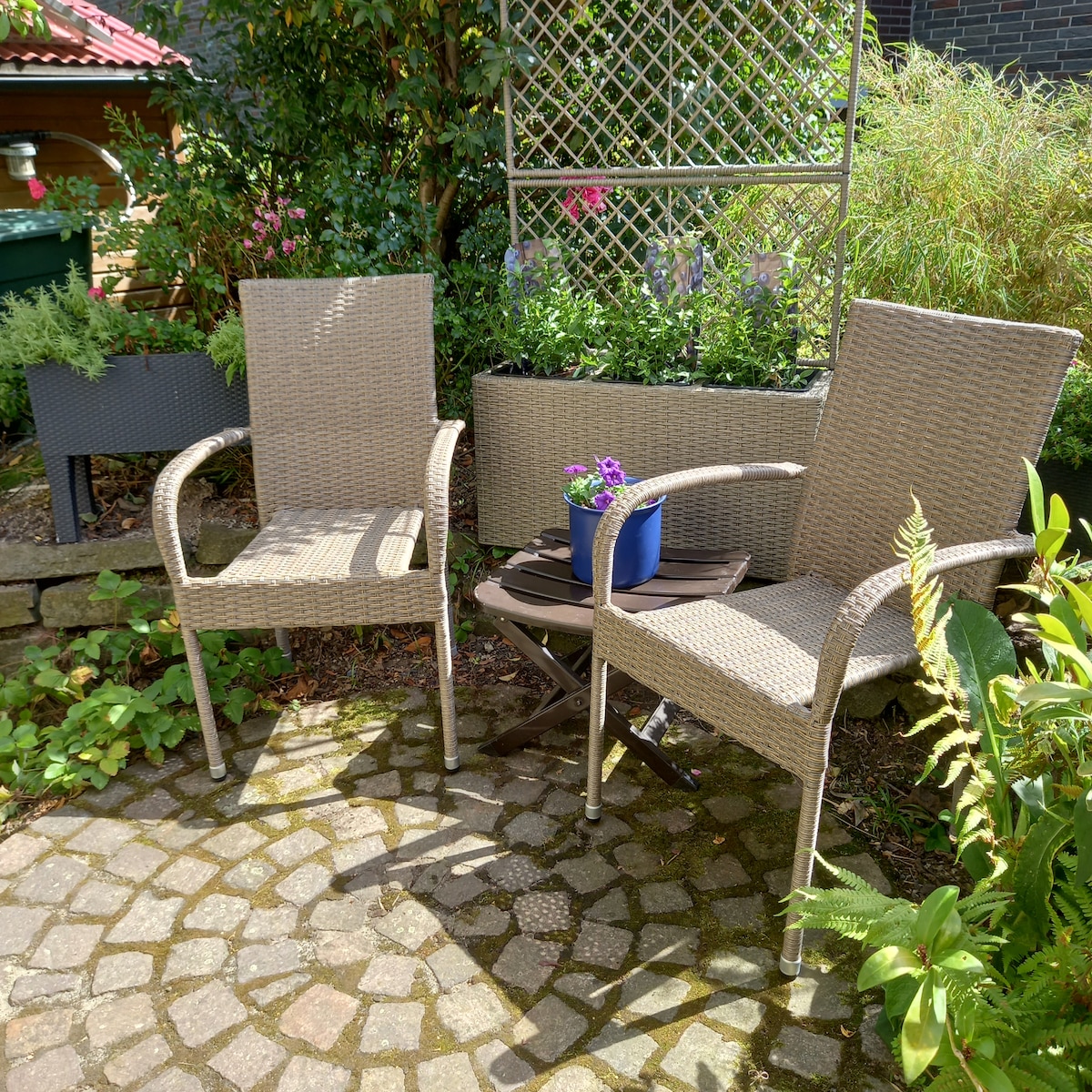 Two woven chairs are positioned next to a small circular table, surrounded by a variety of green plants. A blue flower pot on the table adds a touch of color to the natural setting. The area is marked by a stone-paved surface, creating a cozy outdoor space.