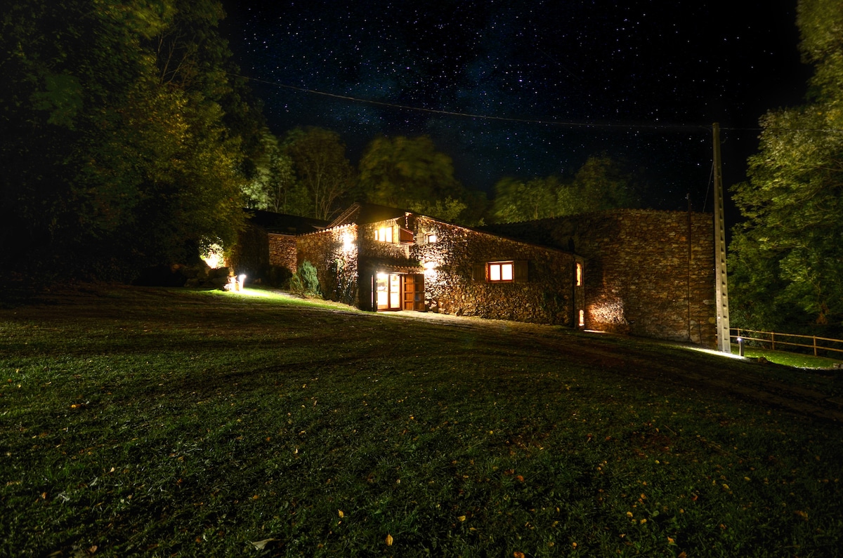 The rustic stone exterior of the house is highlighted by warm lighting against a starry night sky. Surrounded by lush greenery, the structure's large windows invite a glimpse of the cozy interiors, blending harmoniously with the tranquil natural landscape.