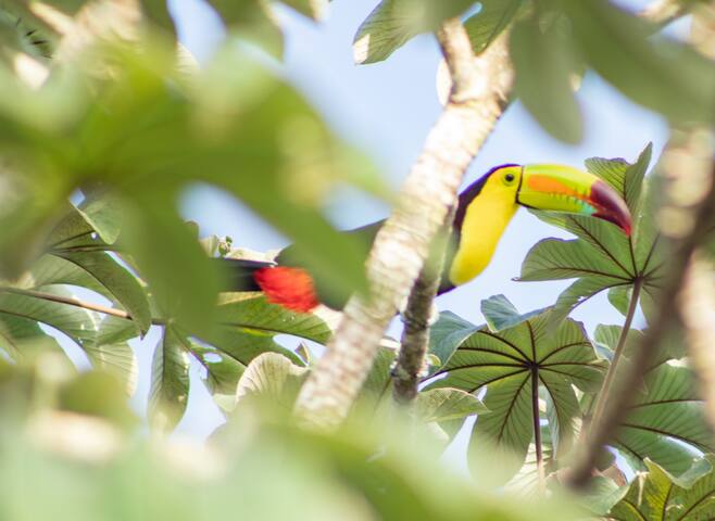 Luxury Private Villa with pool on hilltop gallery image 4