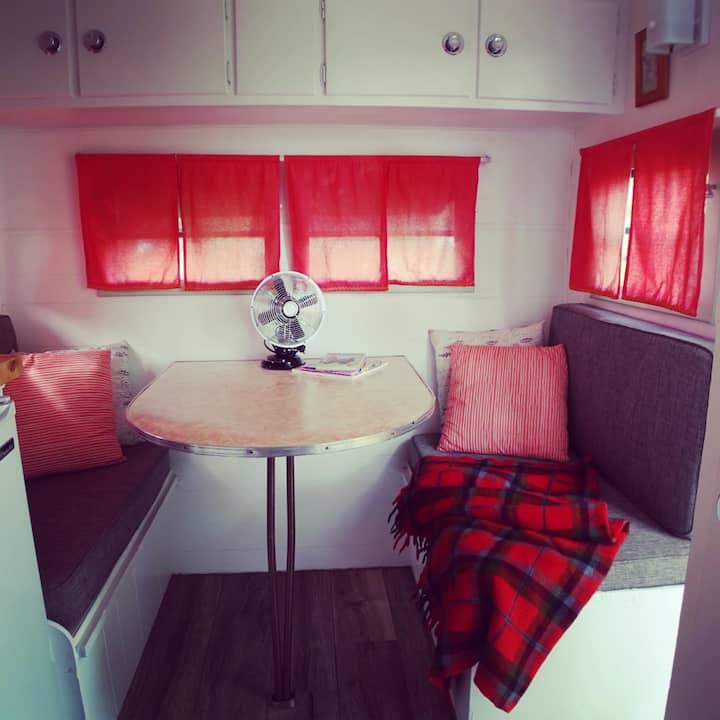 Cozy Camper at Circle M Market Farm Farm stays for Rent in