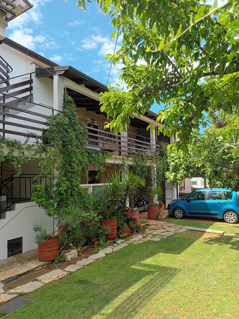 Successful Airbnb property: Apartments Ruža 2 in Dajla