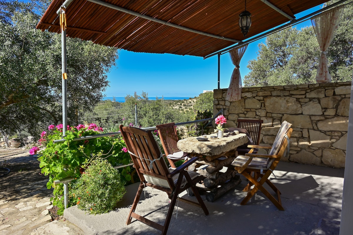 An outdoor terrace is presented with a round stone table surrounded by wooden chairs. Vibrant pink flowers border the area, complemented by olive trees in the background. A distant view of the sea enhances the peaceful setting, with a canopy providing shade.