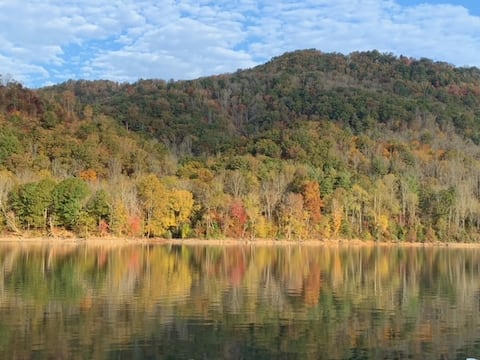 Fall for Lakefront Bear Cub Cabin on Watauga Lake