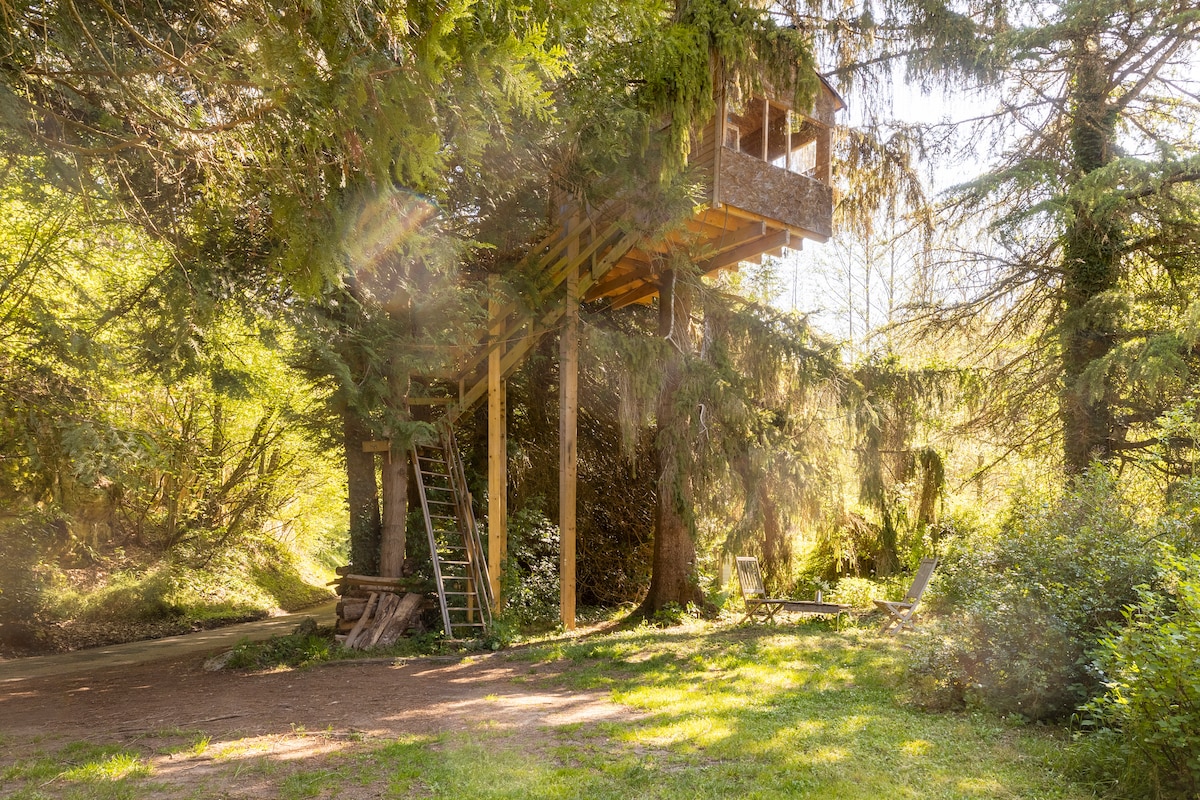 A treehouse cabin is nestled amongst lush greenery, elevated on wooden stilts. A rustic ladder leans against the cabin, leading to a balcony surrounded by trees. Sunlight filters through the leaves, creating a serene atmosphere in the surrounding natural landscape.