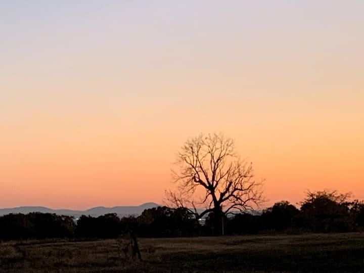 Mountainview sanctuary retreat Cottages for Rent in Van Buren