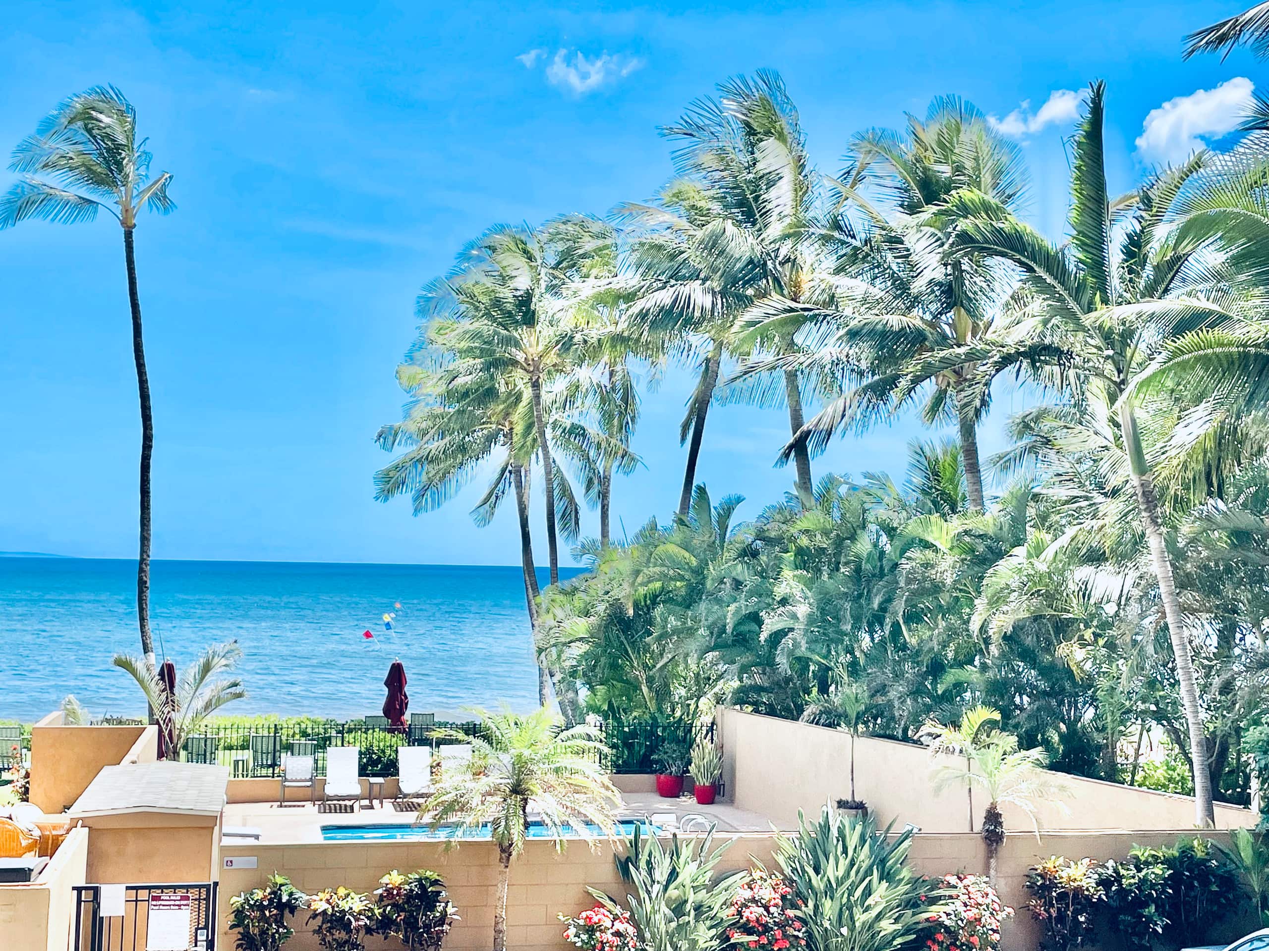 Condo in Kihei · ★4.86 · 1 bedroom · 2 beds · 2 baths - Image 35