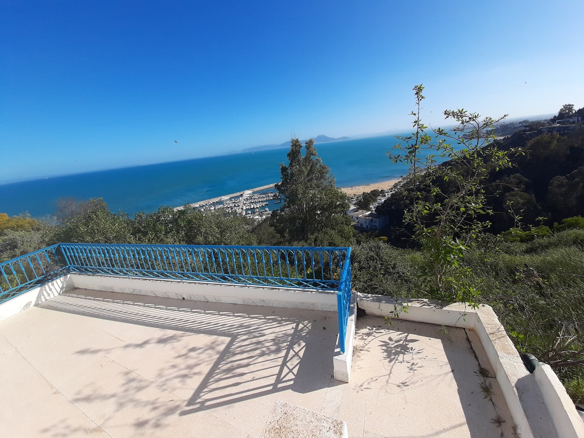 An elevated terrace presents a breathtaking view of the Mediterranean Sea and nearby sandy beach. The blue railings add a touch of color against the panoramic backdrop of water and sky. Lush greenery partially frames the scene, enhancing the serene atmosphere.