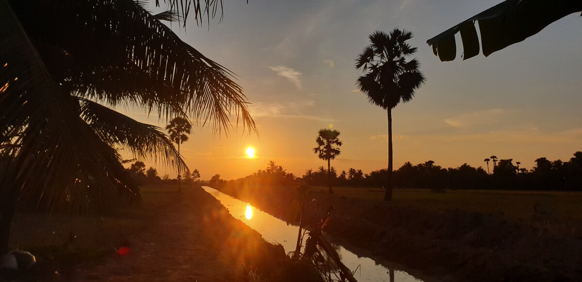 A serene landscape is captured at sunset, with a calm waterway reflecting the warm orange light. Silhouetted palm trees and lush vegetation frame the scene, while the sun descends behind the horizon, creating a tranquil evening atmosphere.