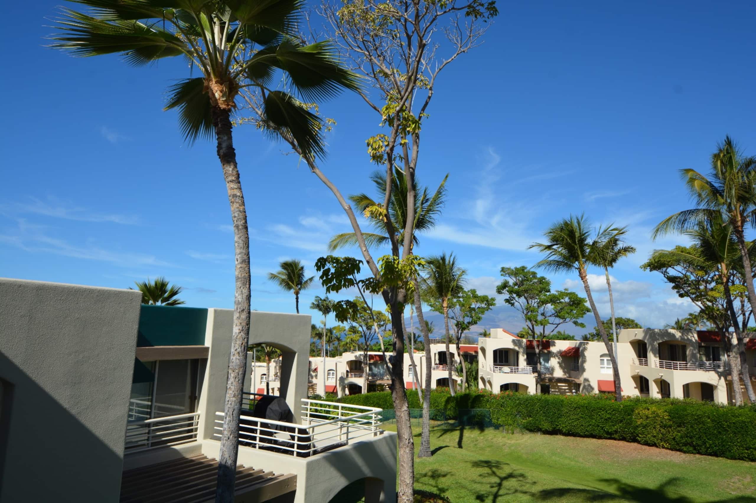Condo in Kihei · ★4.87 · 2 bedrooms · 3 beds · 2 baths - Image 23