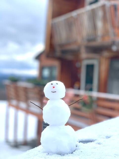 Mountain View Chalet