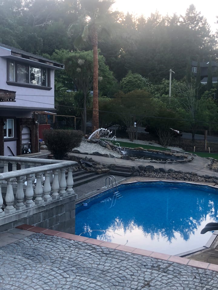 1 Wine Country Gem 1 Room Downstairs Guest House Guesthouses for Rent