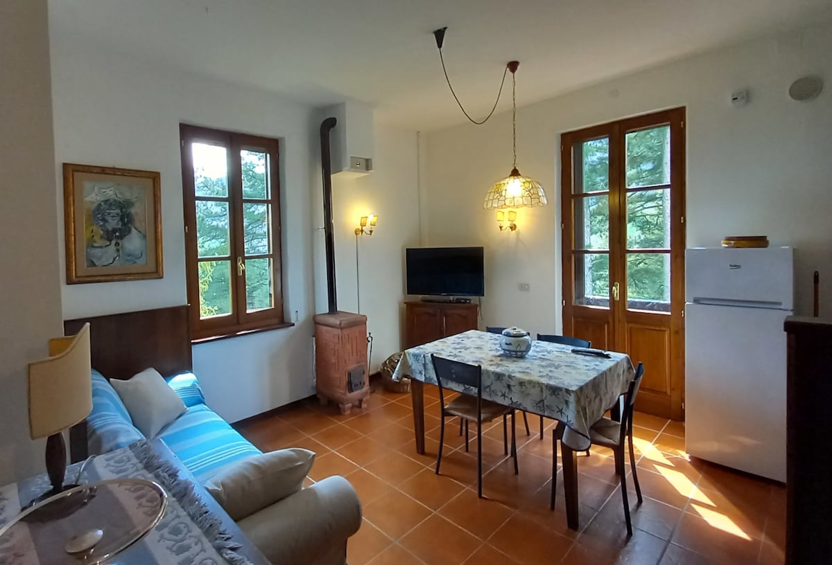 Popular Airbnb listing: the Bonomini house in Parma
