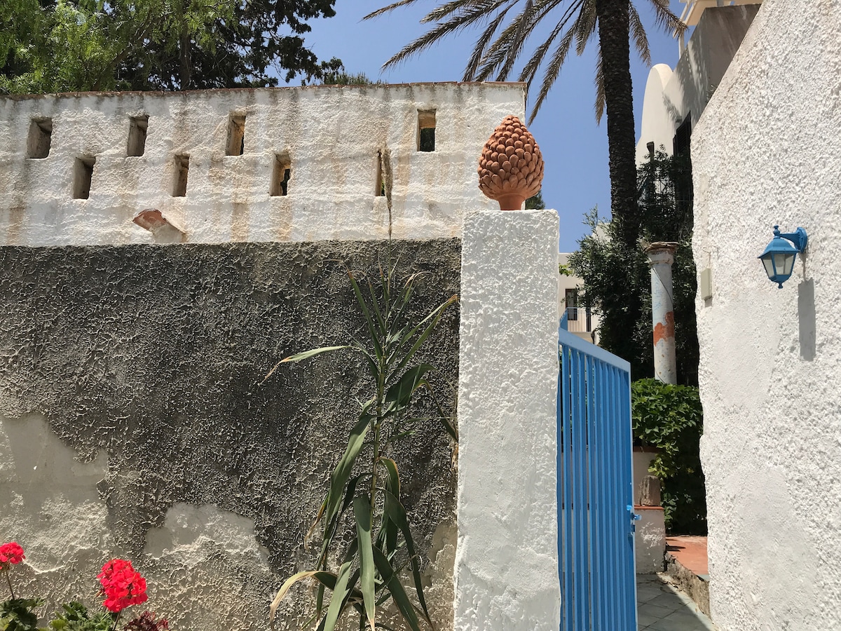 A textured white wall with remnants of paint provides a rustic backdrop to a blue gate leading to the property. A decorative terracotta piece is observed atop a low wall, surrounded by greenery and vibrant red flowers. Palm trees rise majestically in the background.
