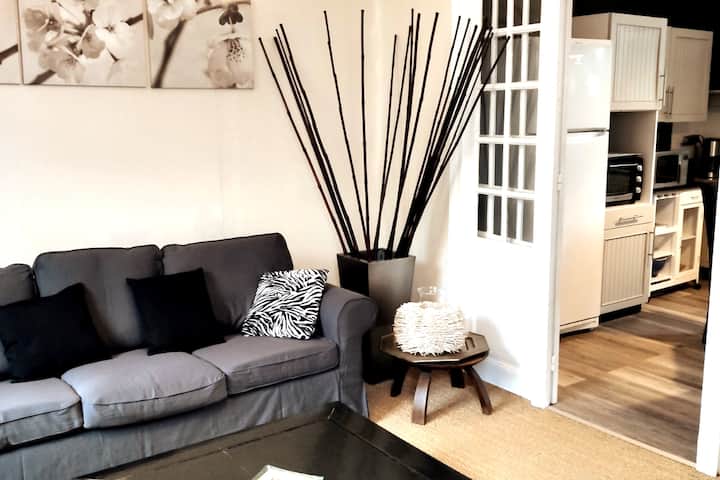 Charmant T3 De 70m2  Dans Maison De Caractere - Luz-Saint-Sauveur