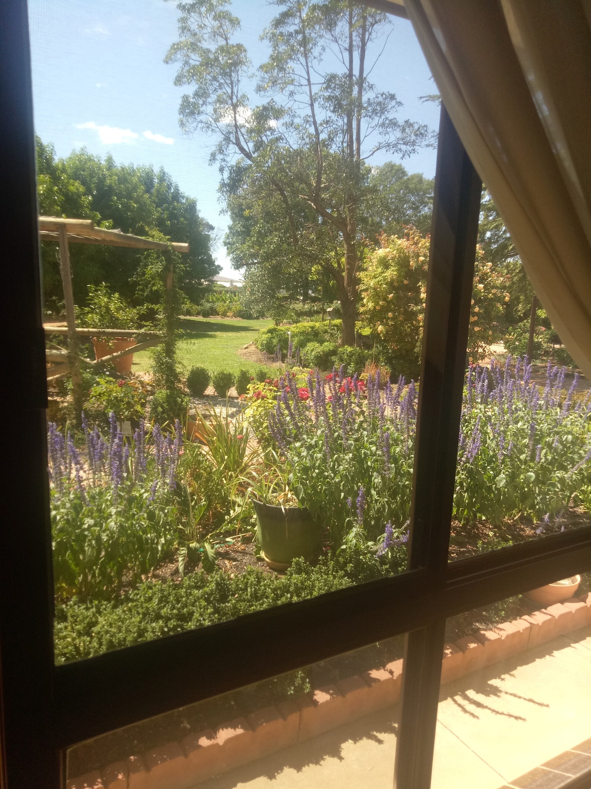 A view from a window showcases a lush garden filled with vibrant purple flowers and various green plants. Manicured lawns and trees create a serene atmosphere, providing a glimpse of the outdoor landscape framed by the window's clear glass.