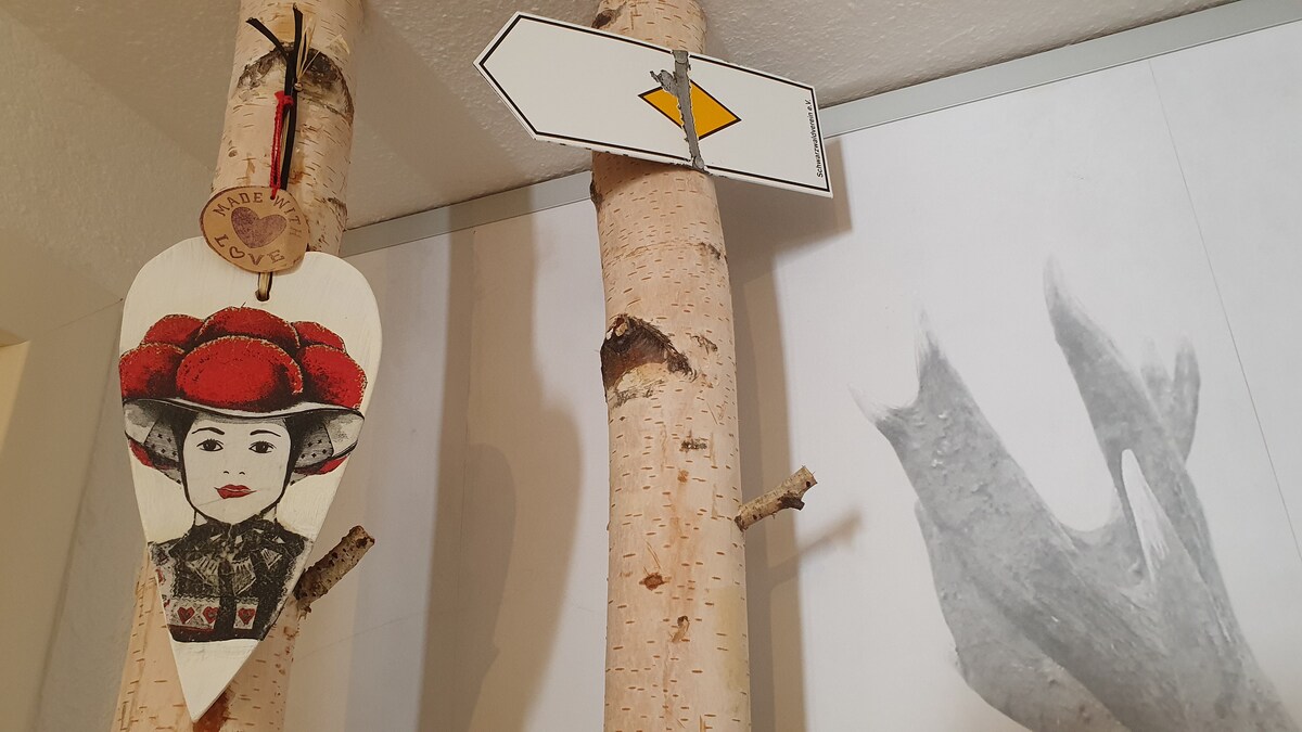 Proprietà Airbnb di successo: Apartment Hochsitz in Schonach a Schonach Im Schwarzwald