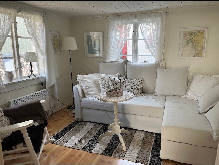 סלון עם ספה נפתחת.