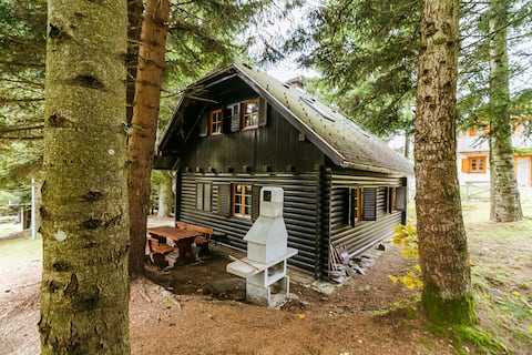 Chalet Near Ski Slope *Renovated 2 BR Apt Liza*