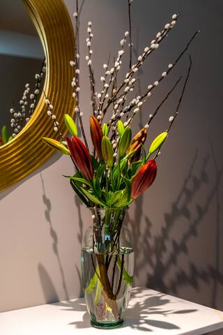 2 bedroom apartment in the heart of Polanco area gallery image 5