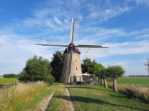 Holiday mill in Zeeland