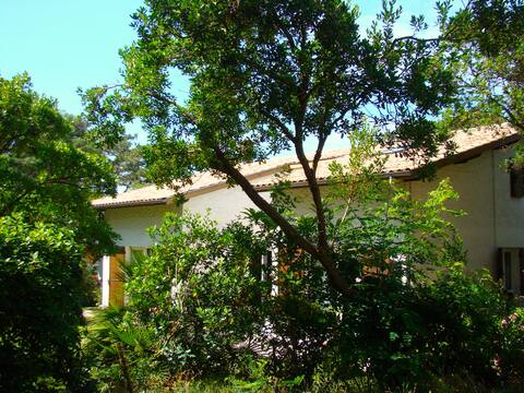 villa tisable - 12/14 people - beach center 300 m away