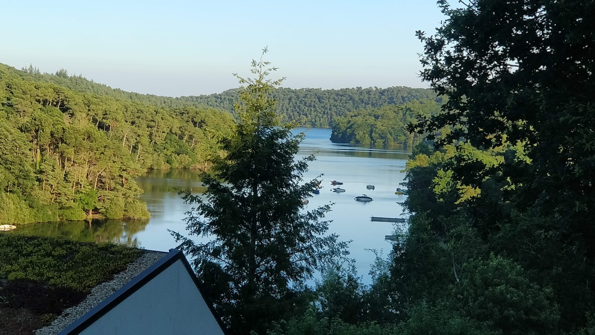 A serene lake view is framed by lush greenery and tall trees, reflecting the calm waters. The distant shoreline and boats can be seen, offering a glimpse of the natural beauty surrounding the area.